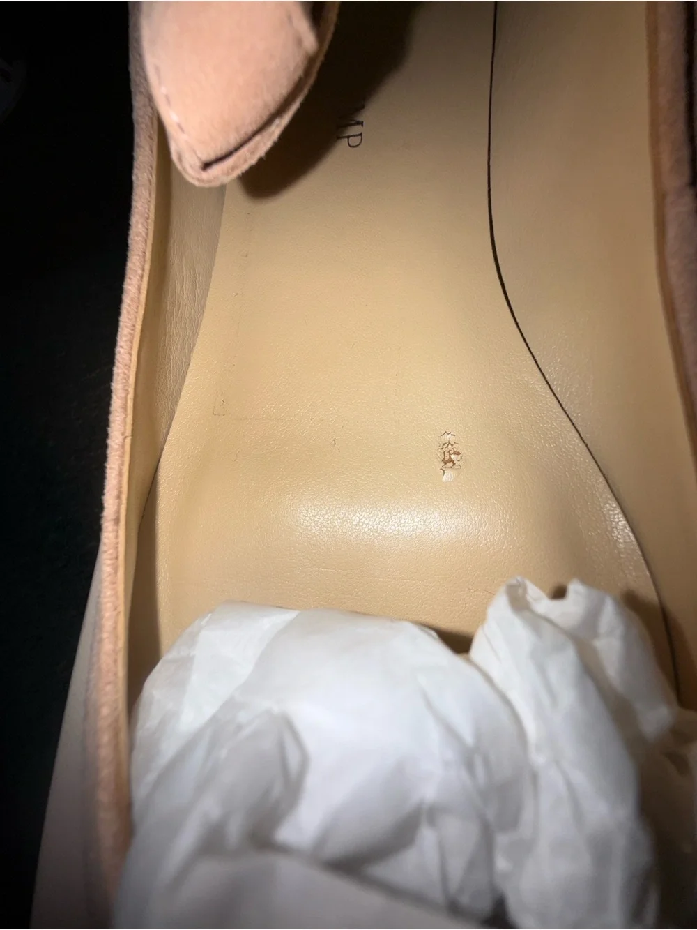 Ivanka Trump Blush Pink Branded Shoe Box